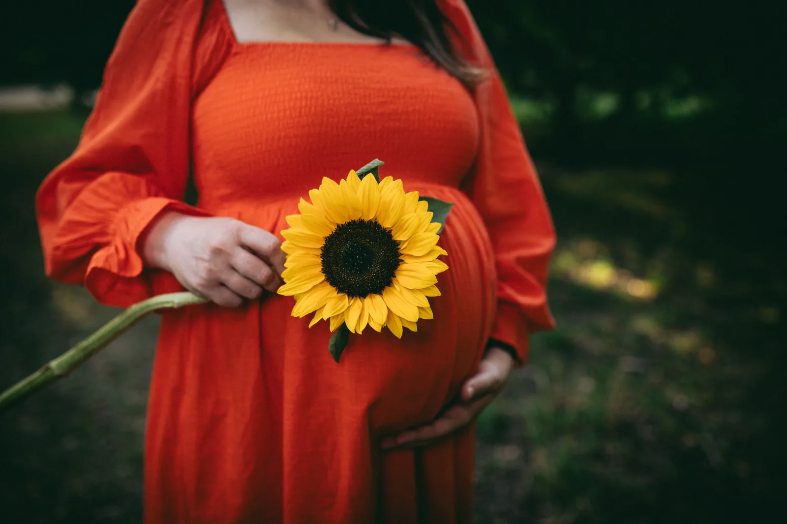 Babybauch-Shooting mit Sonnenblume