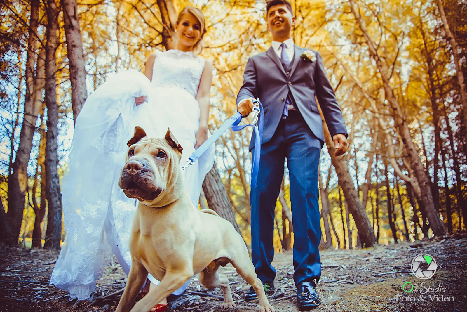 Brautpaar mit Hund im Herbstlaub